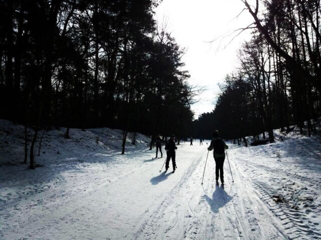 ZIMA! ŚNIEG! SZYBKO NA BIEGÓWKI!