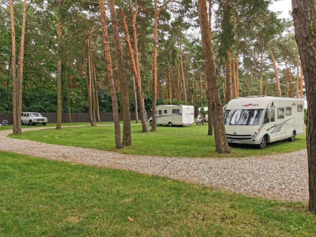 Camping WOK – Warszawa