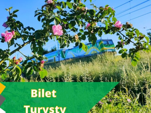 BILET TURYSTY W KOLEJACH MAZOWIECKICH