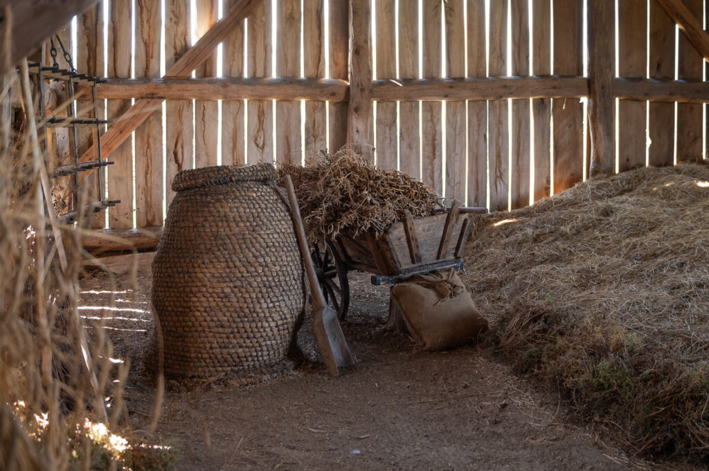 Skansen Osadnictwa Wiączemin Polski