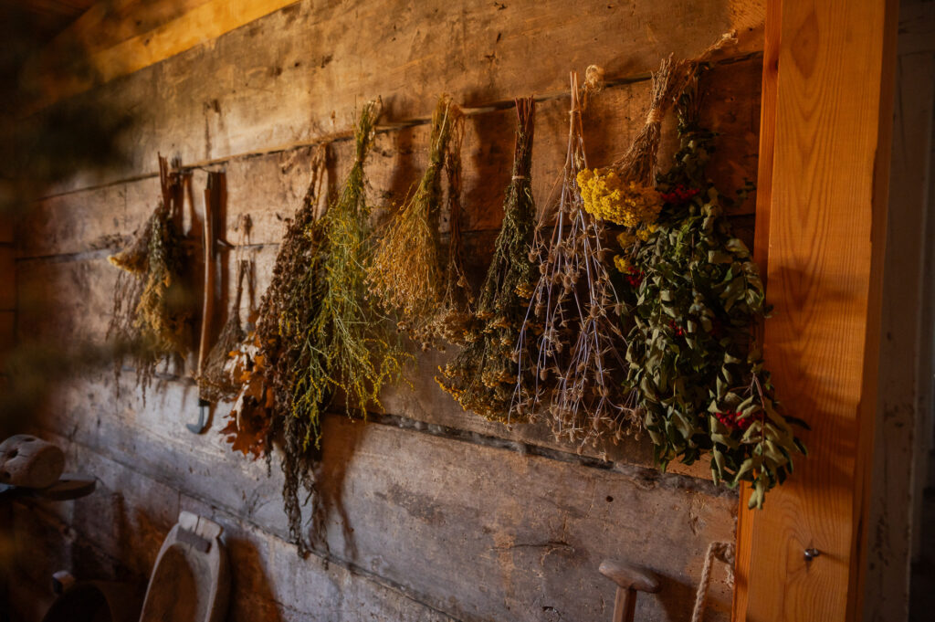 Skansen Osadnictwa Wiączemin Polski