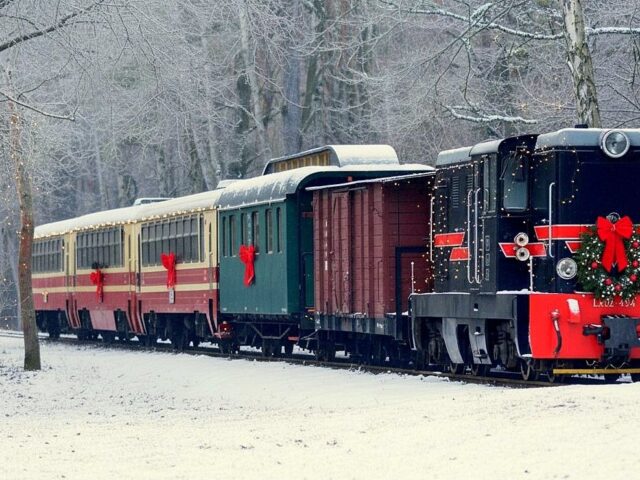 PIASECZYŃSKO-GRÓJECKA KOLEJ WĄSKOTOROWA. SYLWESTER NA LEŚNEJ POLANIE!