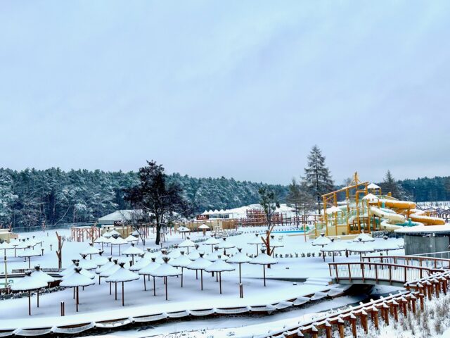 JULINEK PARK. CYRKOWE MIKOŁAJKI 2025