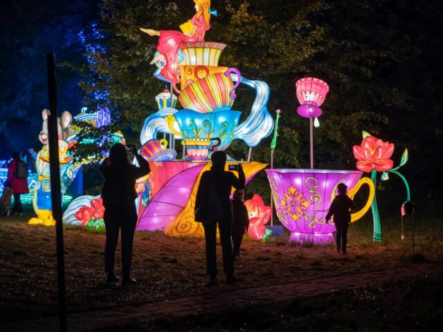 ŚWIETLNE OGRODY WARSZAWY 2025